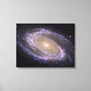 Spiral galax smutsigare 81 canvastryck