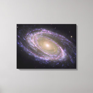Spiral galax smutsigare 81 canvastryck