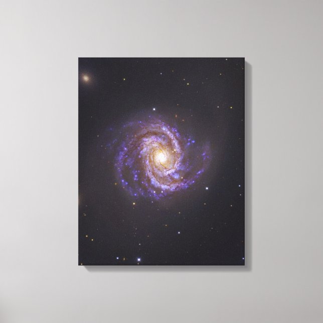 Spiral Galaxy M100 och Supernova SN2006X Canvastryck (Framsida)
