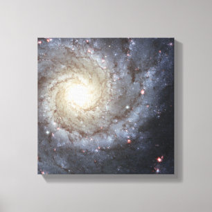 Spiral galaxy M74 Canvastryck