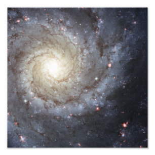 Spiral galaxy M74 Fototryck