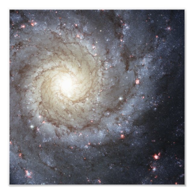 Spiral galaxy M74 Fototryck (Framsidan)