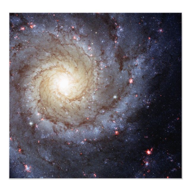 Spiral Galaxy M74 (Hubble) Fototryck (Framsidan)