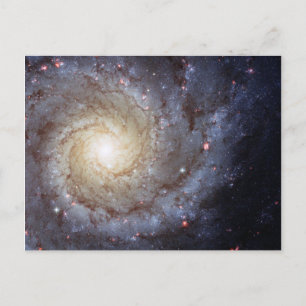 Spiral Galaxy M74 (Hubble) Vykort