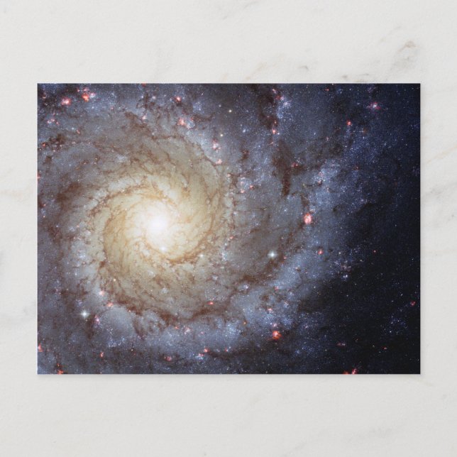 Spiral Galaxy M74 (Hubble) Vykort (Framsida)