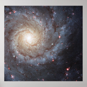 Spiral Galaxy M74 Poster