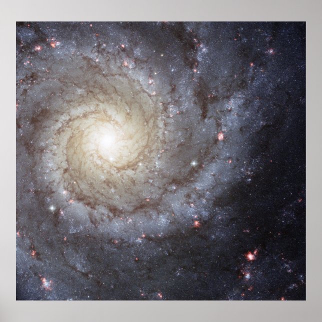 Spiral Galaxy M74 Poster (Framsidan)