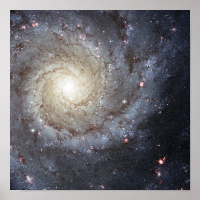 Spiral galaxy M74 Poster (Framsidan)