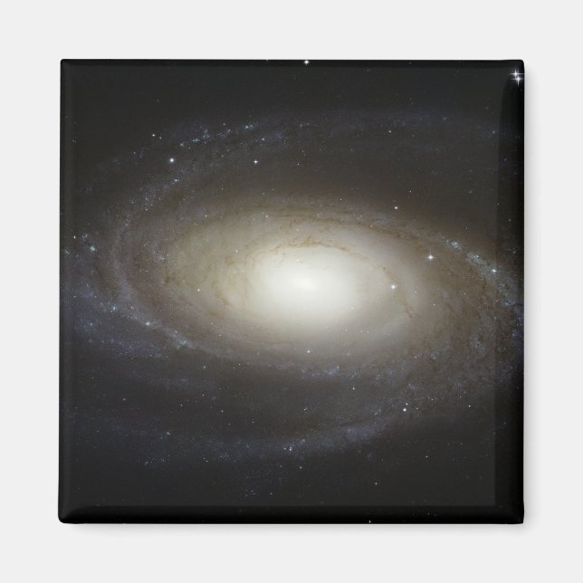 Spiral Galaxy M81 Magnet (Framsidan)
