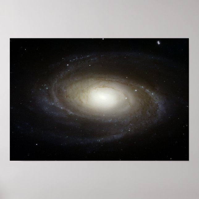 Spiral Galaxy M81 Poster (Framsidan)