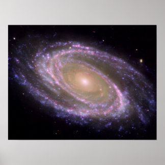 Spiral Galaxy M81 Poster