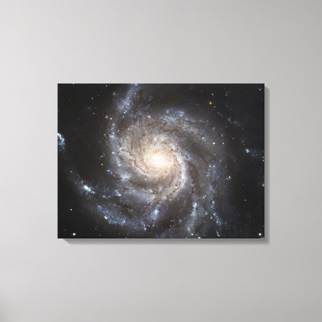 Spiral galaxy Messier 101 Canvastryck (Framsida)
