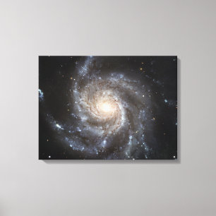 Spiral galaxy Messier 101 Canvastryck