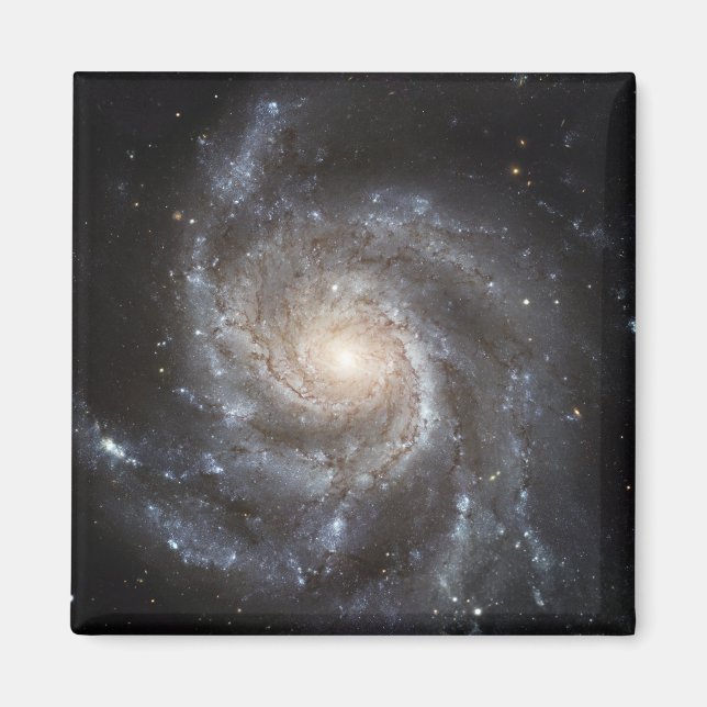 Spiral galaxy Messier 101 Magnet (Framsidan)