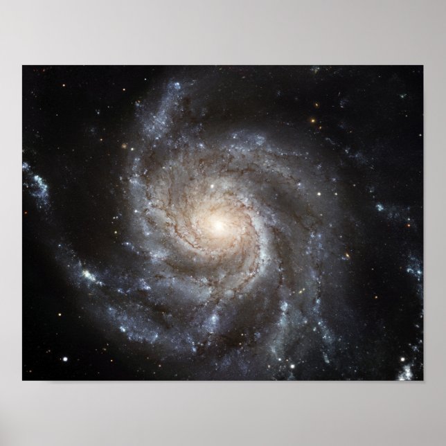 Spiral galaxy Messier 101 Poster (Framsidan)