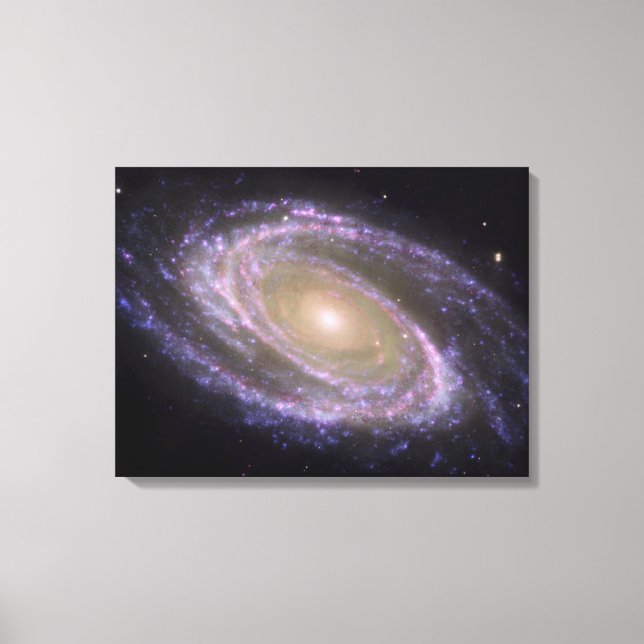 Spiral galaxy Messier 81 Canvastryck (Framsida)