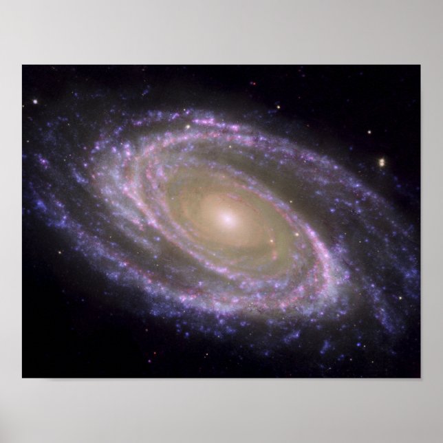 Spiral galaxy Messier 81 Poster (Framsidan)