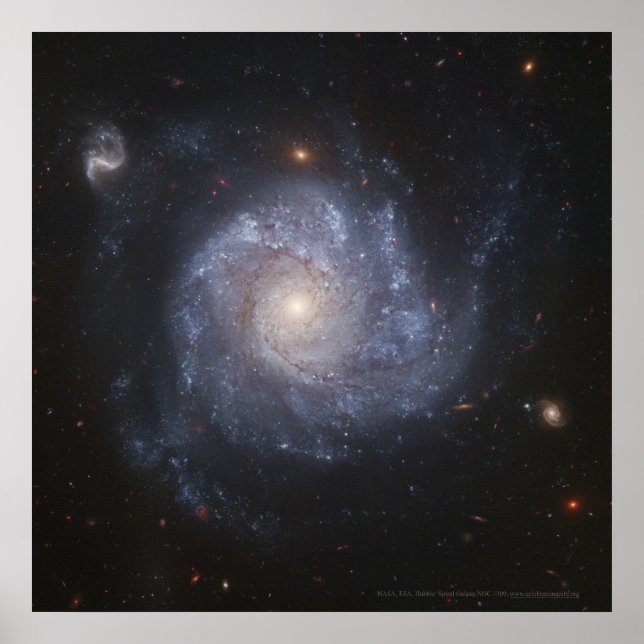 Spiral Galaxy NGC 1309 12 x 12 (11 x 11) Poster (Framsidan)