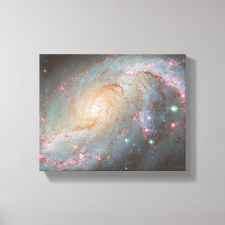 Spiral Galaxy NGC 1672 Canvastryck