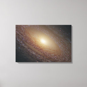 Spiral Galaxy Ngc 2841 Canvastryck