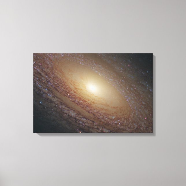 Spiral Galaxy Ngc 2841 Canvastryck (Framsida)
