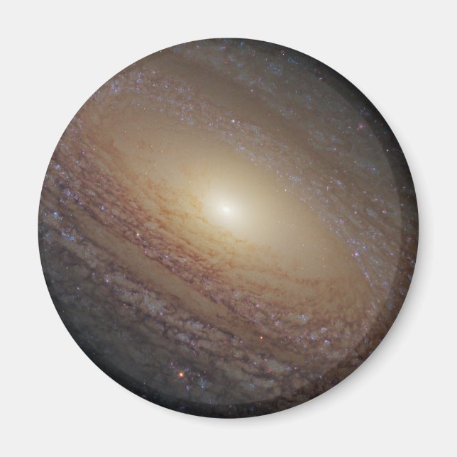 Spiral Galaxy Ngc 2841 Magnet (Framsidan)