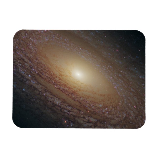 Spiral Galaxy Ngc 2841 Magnet (Horisontell)