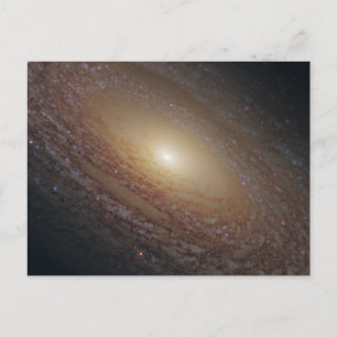 Spiral Galaxy NGC 2841 Vykort