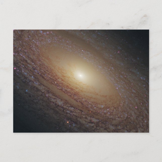 Spiral Galaxy NGC 2841 Vykort (Framsida)