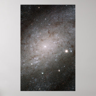 Spiral galaxy NGC 300. Poster