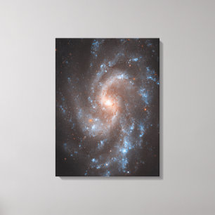 Spiral Galaxy Ngc 5584 Canvastryck