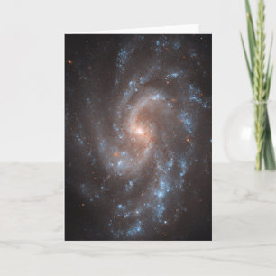 Spiral Galaxy Ngc 5584 Kort