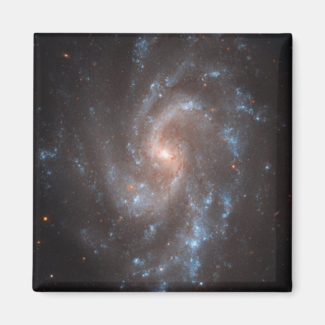 Spiral Galaxy Ngc 5584 Magnet (Framsidan)