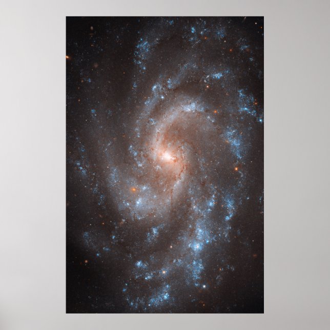 Spiral Galaxy Ngc 5584 Poster (Framsidan)