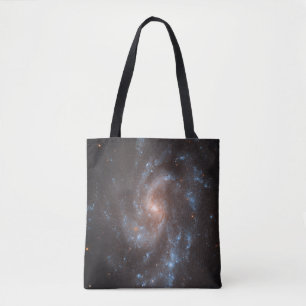 Spiral Galaxy Ngc 5584 Tygkasse