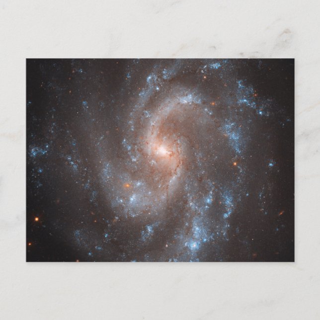 Spiral Galaxy Ngc 5584 Vykort (Framsida)