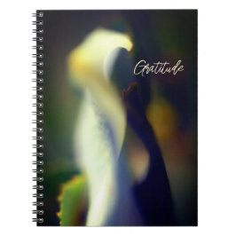 Spiral Gratitude Journal Anteckningsbok