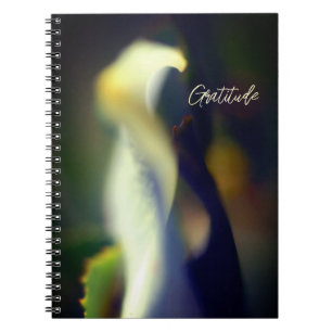 Spiral Gratitude Journal Anteckningsbok