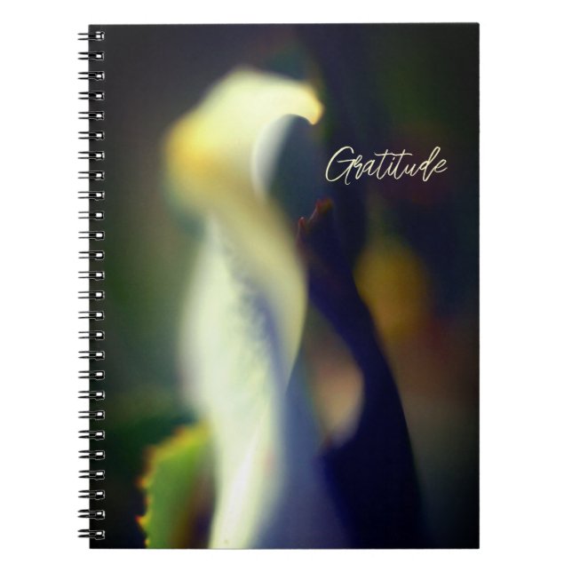 Spiral Gratitude Journal Anteckningsbok (Framsidan)