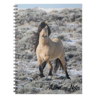 Spiral Notebook w/ Wicahpi Hinhpaya Anteckningsbok