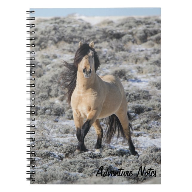 Spiral Notebook w/ Wicahpi Hinhpaya Anteckningsbok (Framsidan)