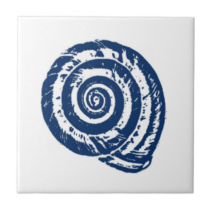 Spiral Seashell, Vita och Koboltblått Kakelplatta