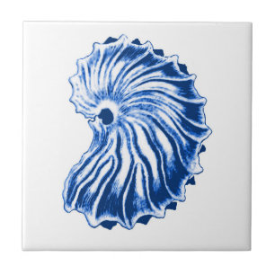 Spiral Snäcka, Indigo Blue och White Kakelplatta