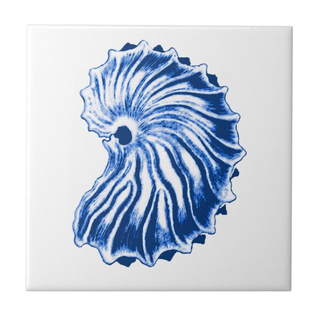Spiral Snäcka, Indigo Blue och White Kakelplatta (Framsidan)