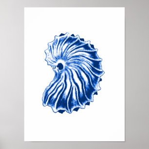Spiral snäcka, indigoblå blått och vit poster