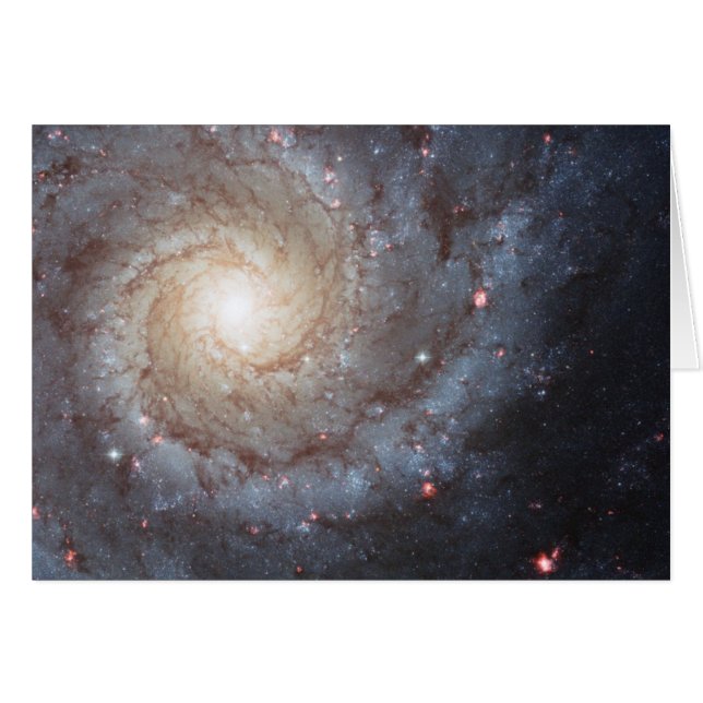 Spiralgalaxen M74 Hälsningskort (Framsidan Horizontal)