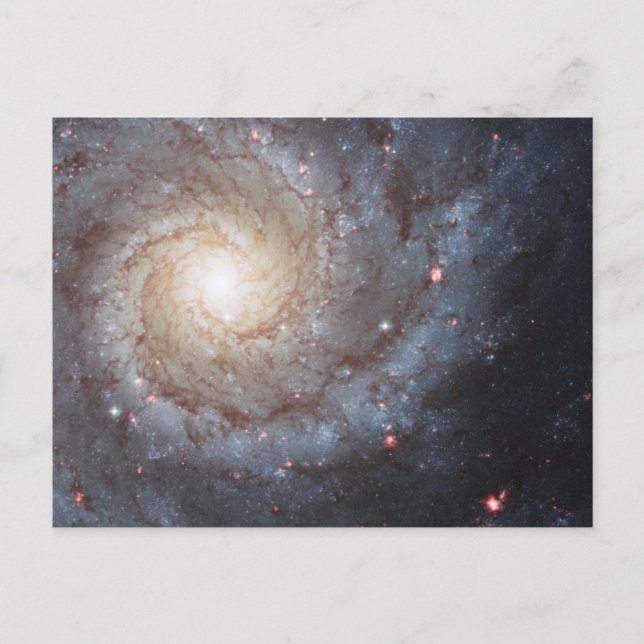 Spiralgalaxen M74 Vykort (Framsida)