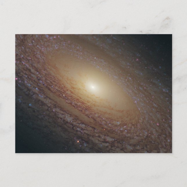 Spiralgalaxen Ngc 2841 Vykort (Framsida)