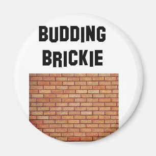 spirande brikkie magnet