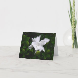 Spirande Gardeniasblommigt Notecard Kort
